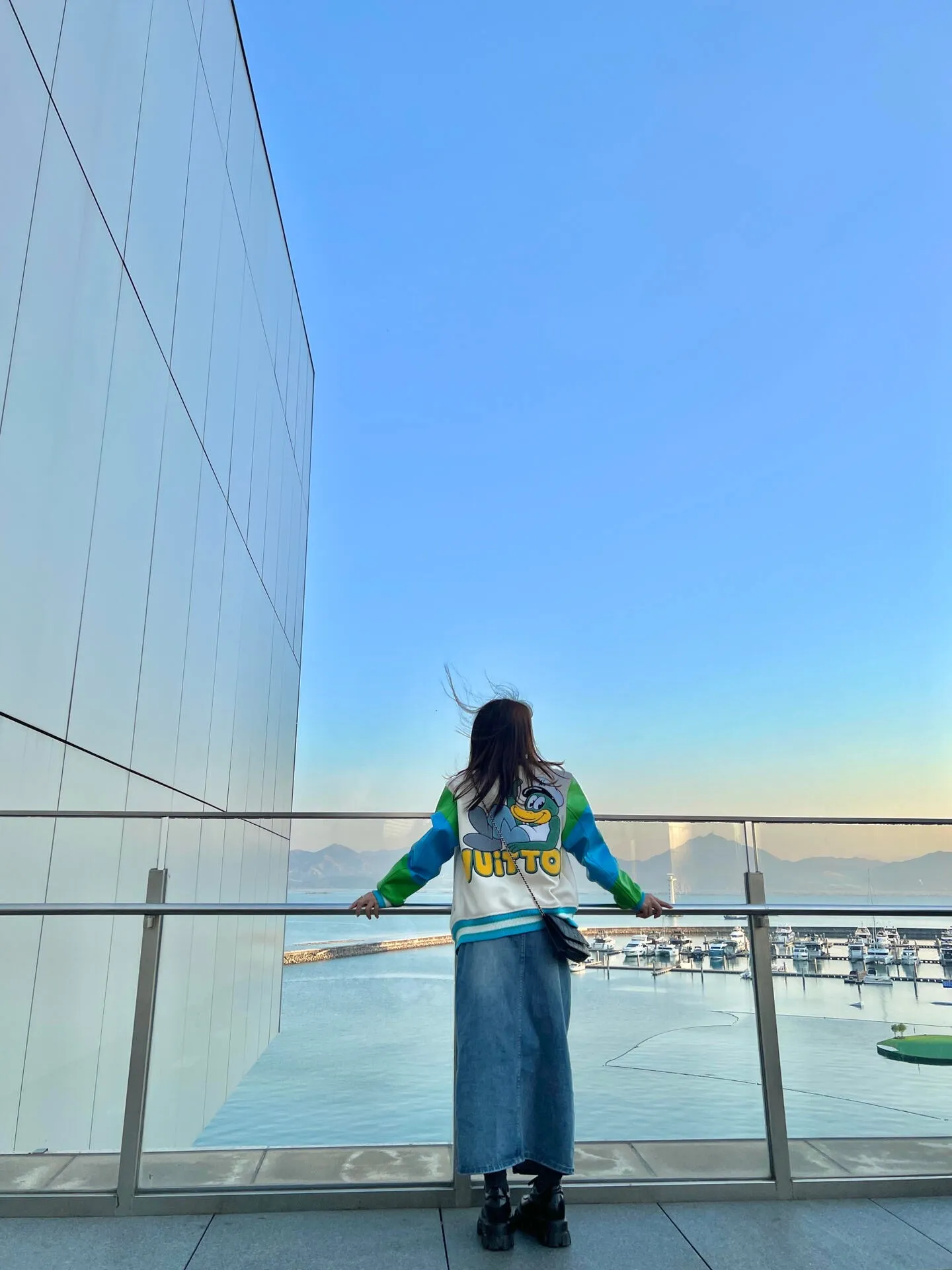 Louis Vuitton/Louis Vuitton duck towel embroidered sleeves old flower embossed baseball jacket